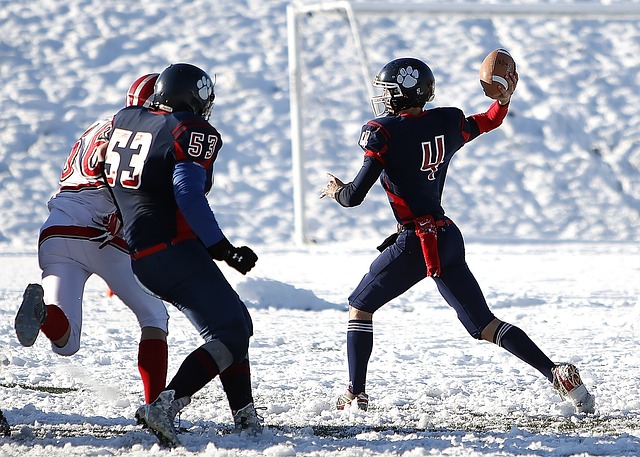 成长环境 成长环境