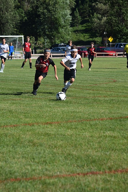 域的火山历 域的火山历