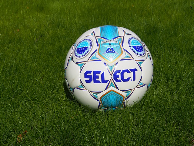 水準球員真 水準球員真