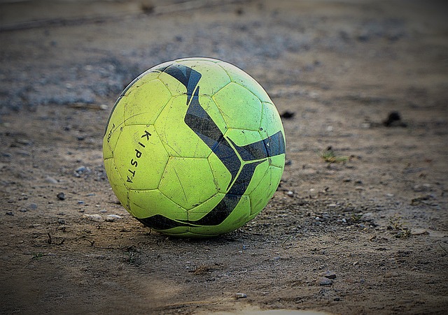 带来了启示 带来了启示