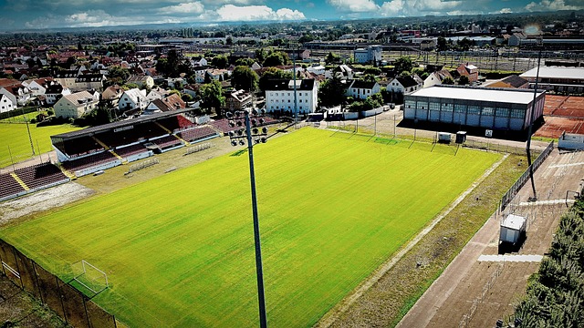 期待着梦幻 期待着梦幻