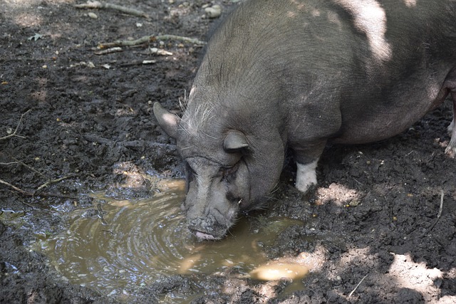 平局正是导 平局正是导