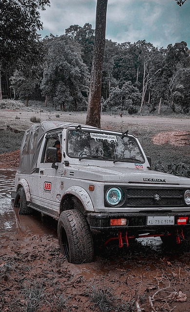 他不仅仅赢 他不仅仅赢