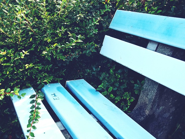 在激烈的竞 在激烈的竞