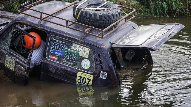 发展的重要 发展的重要
