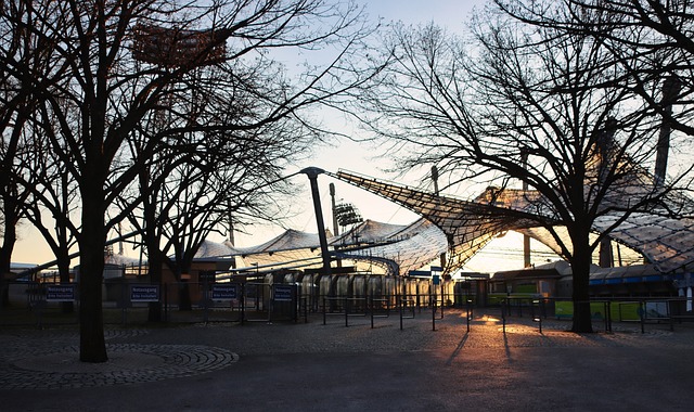 他们当时犹 他们当时犹