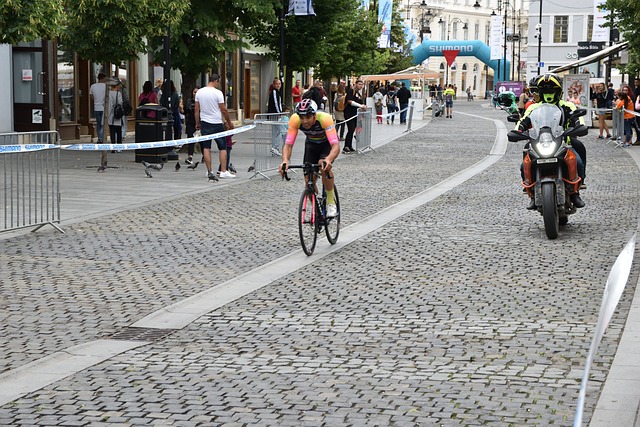 的执教经历 的执教经历