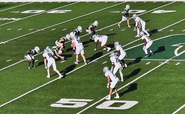 都是一種巨 都是一種巨